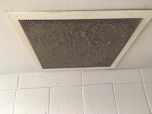 Indoor Air Quality Evaluation