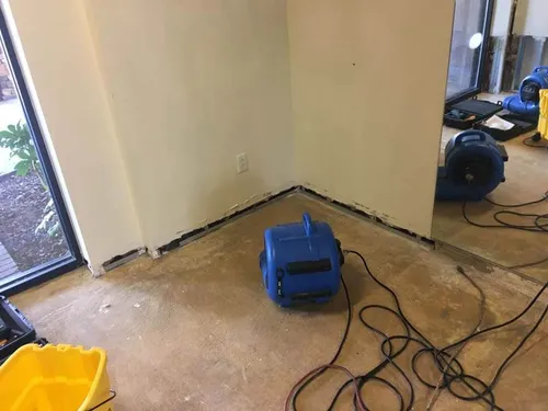 Mold Remediation